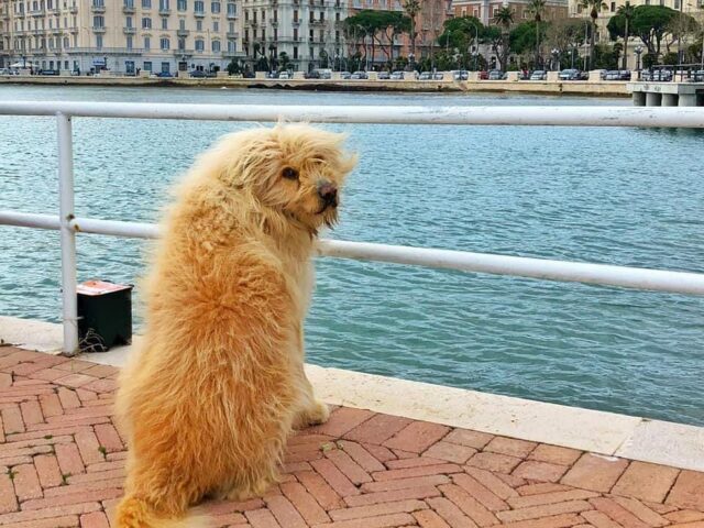Ciao Ugo